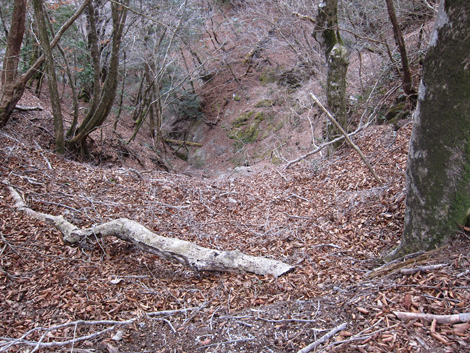20200110hike (262)
